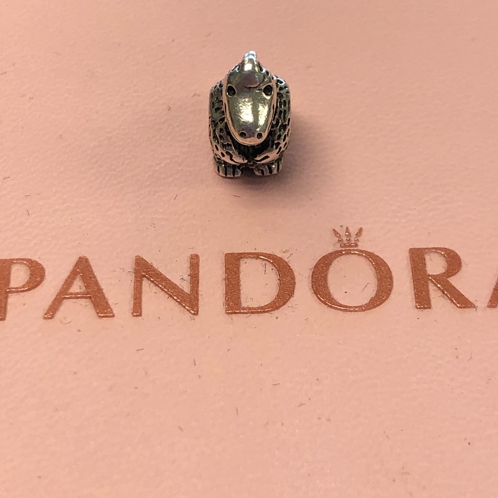 Rare dinosaur charm